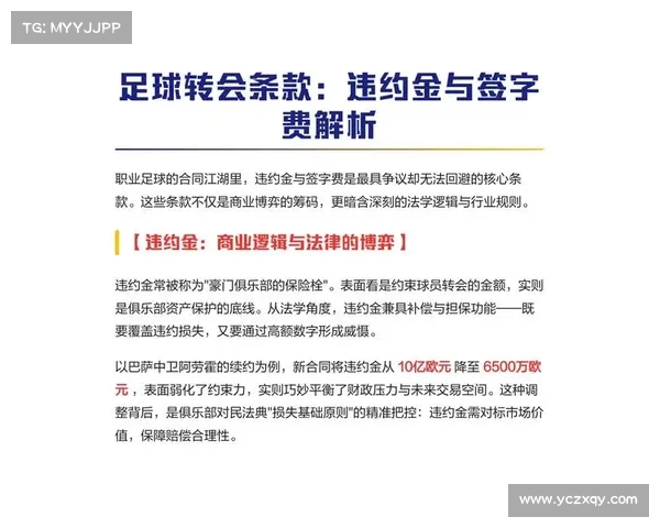 足球转会代理人的职业生涯解析与背后的商业逻辑探索 足球转会代理人的职业生涯解析与背后的商业逻辑探索