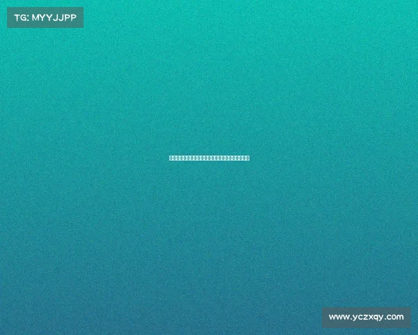 阿森纳两位法国名宿除哲凯赖什外的传奇人物与贡献