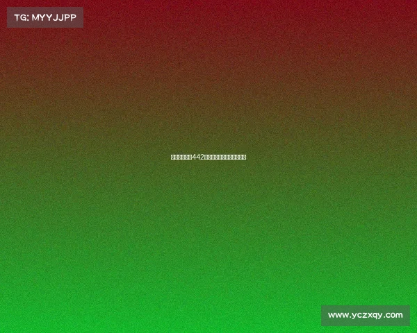 西甲球队经典442阵型解析及其战术运用探索