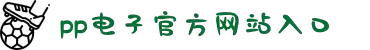 pp电子(中国)官方网站